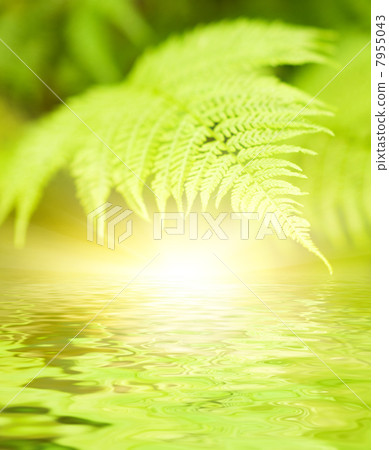 Green leaves reflected in rendered water 7955043