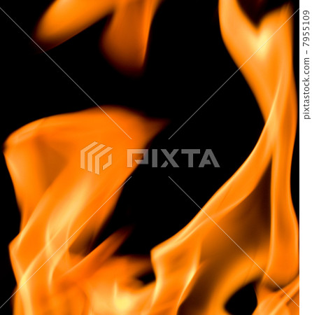 Fire flames isolated on black background Fire flames isolated on black background 7955109
