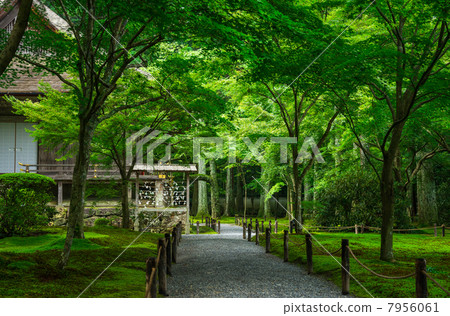 Kyoto Ohara Sanzenin Yuen Garden Kyoto Ohara Sanzenin Yuen Garden 7956061