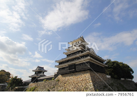 中津城（長） 7956761