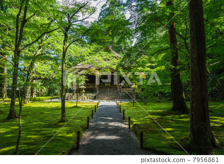 京都大原Sanzenin醫學實踐研究所 7956861