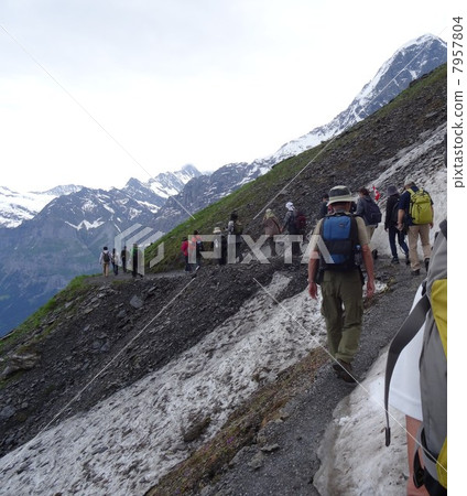 在瑞士阿爾卑斯山徒步旅行 7957804