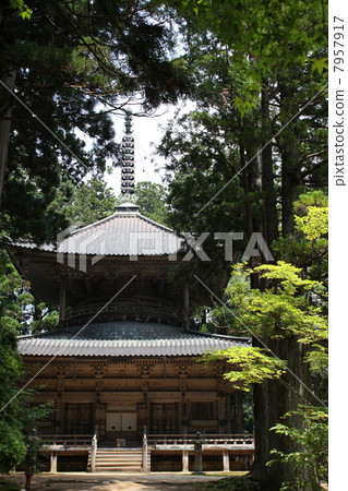 西塔寶塔 西塔寶塔 7957917