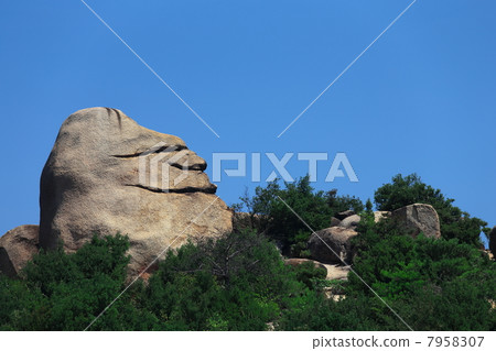 Nico Nico Rock 7958307