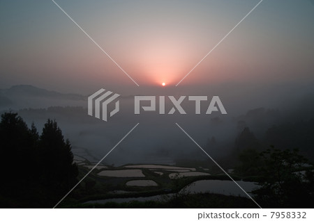 Dawn of the rice terrace 7958332