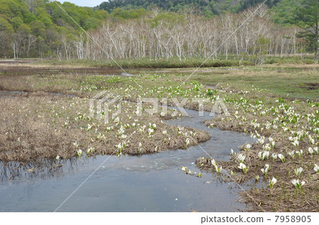 Water flow Water flow 7958905