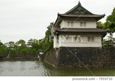 Sakurada double oar 7959710