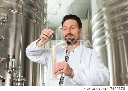 Beer brewer in his brewery examining 7960178