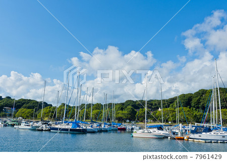 珍珠海度假村庫宿島的遊艇港口 7961429