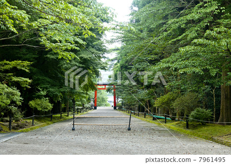 霧島神宮的方法和綠色 霧島神宮的方法和綠色 7961495