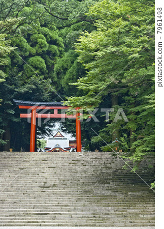Kirishima Jingu Shrine approach and torii 7961498