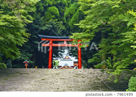 Kirishima Jingu Shrine approach and torii 7961499