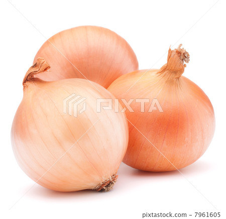 Gold onion vegetable bulbs 7961605