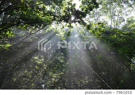 Light beam Light beam 7961858