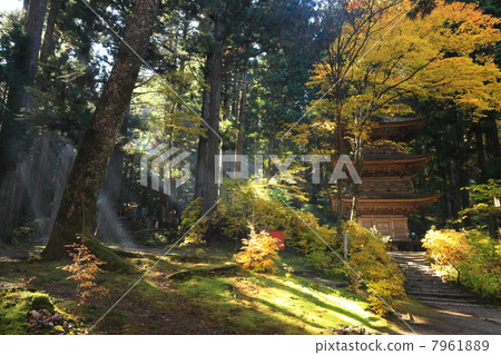 光寺在秋天 7961889