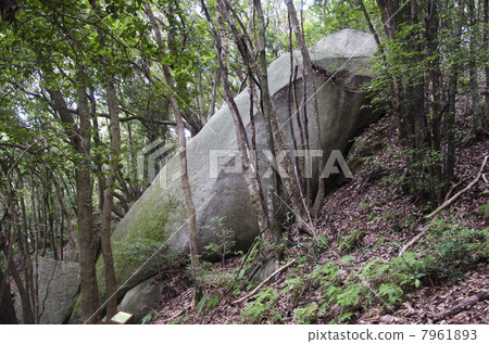 Megalith park dragon stone Megalith park dragon stone 7961893
