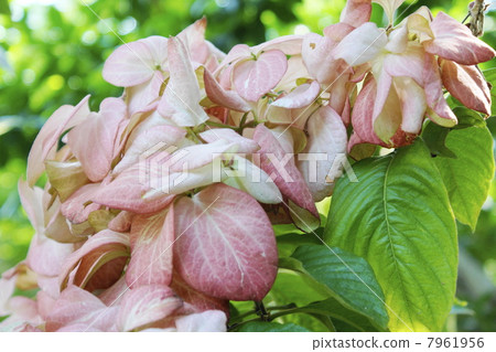 Mutsa Enderfilippuka Mutsa Enderfilippuka 7961956