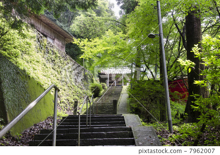 Shimizu Yamami Taki Treasure House 7962007