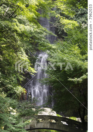 Shimizu waterfall 7962033