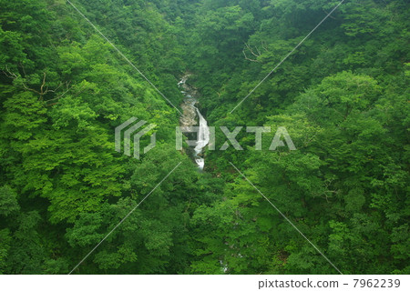 Waterfall of footno Matsuzawa Waterfall of footno Matsuzawa 7962239