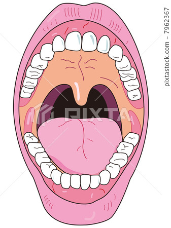 In the mouth 7962367