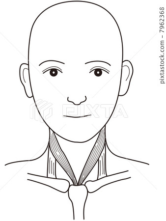 Structure of neck muscle Structure of neck muscle 7962368