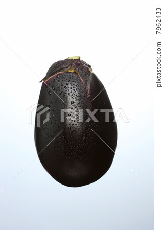三豐茄子 7962433