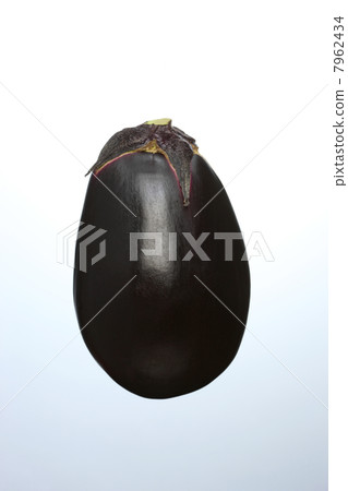 三豐茄子 7962434
