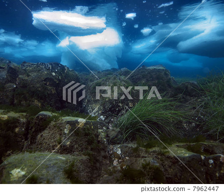 Drift ice diving Drift ice diving 7962447