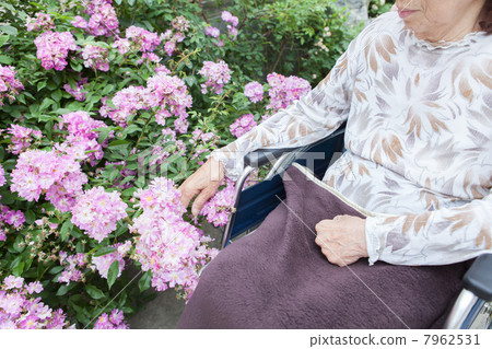 A walk for the very elderly A walk for the very elderly 7962531