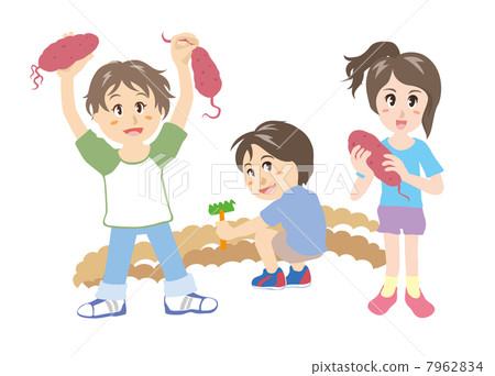 Potato digging 7962834