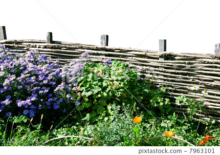 wicker fence 7963101