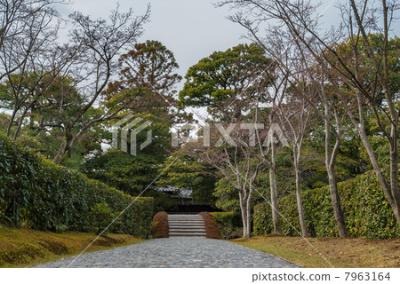 Dobashi繼續到Katsura Rikyu皇宮 7963164