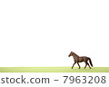 Horse  7963208