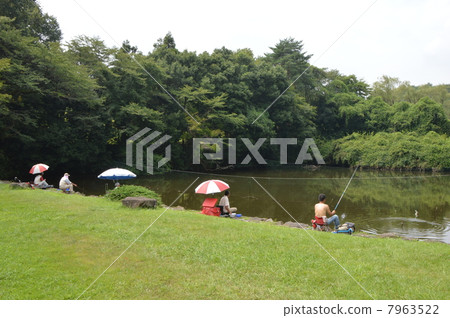 魚山多摩市 7963522