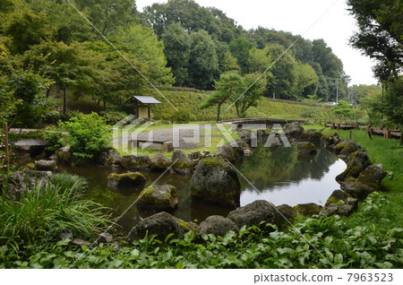 夏天中澤艾克公園東京多摩 7963523