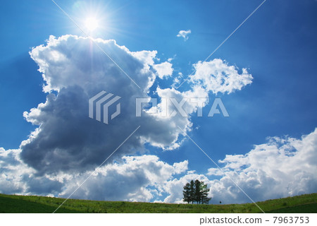 美瑛太陽和夏天的天空 7963753