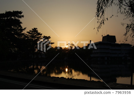 池塘的黃昏 池塘的黃昏 7963936