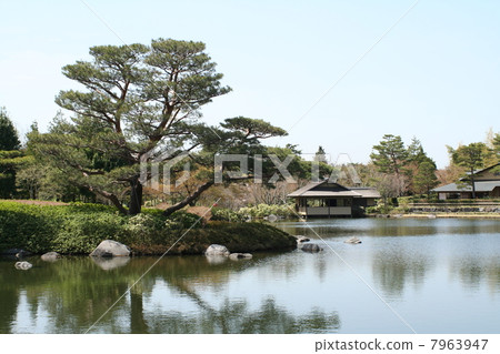 Japanese Garden Showa Kinen Park 7963947