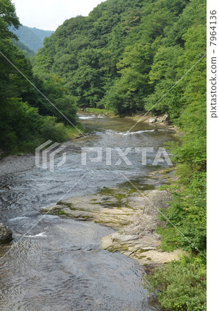 Wataru Valley 7964136