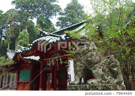 箱根神社正殿 箱根神社正殿 7964484