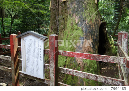 Yasushige箱根神社 Yasushige箱根神社 7964485