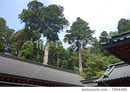 Hime Sarara Jurein箱根神社 Hime Sarara Jurein箱根神社 7964486