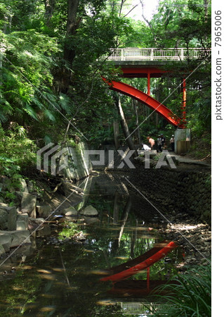 Yeosimpia Valley·高爾夫橋 Yeosimpia Valley·高爾夫橋 7965006