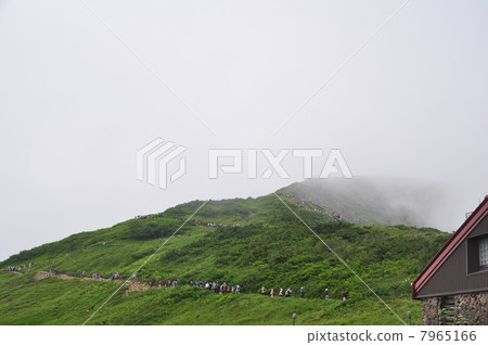 Climber's long row 7965166