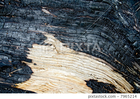 Wood charred 7965214