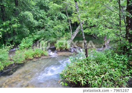 Kamikochi Yodogawa 7965287