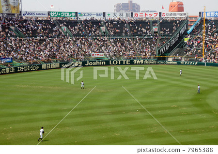甲子園體育場 7965388