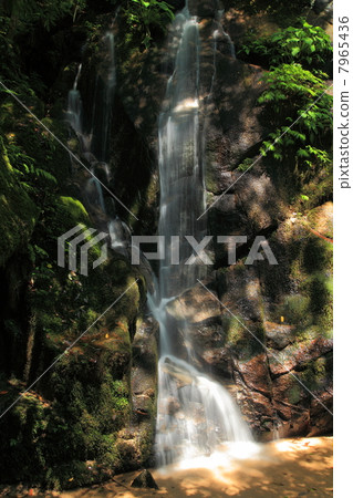 Goldfall Falls 7965436