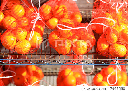 明和出生在橙色網 7965660